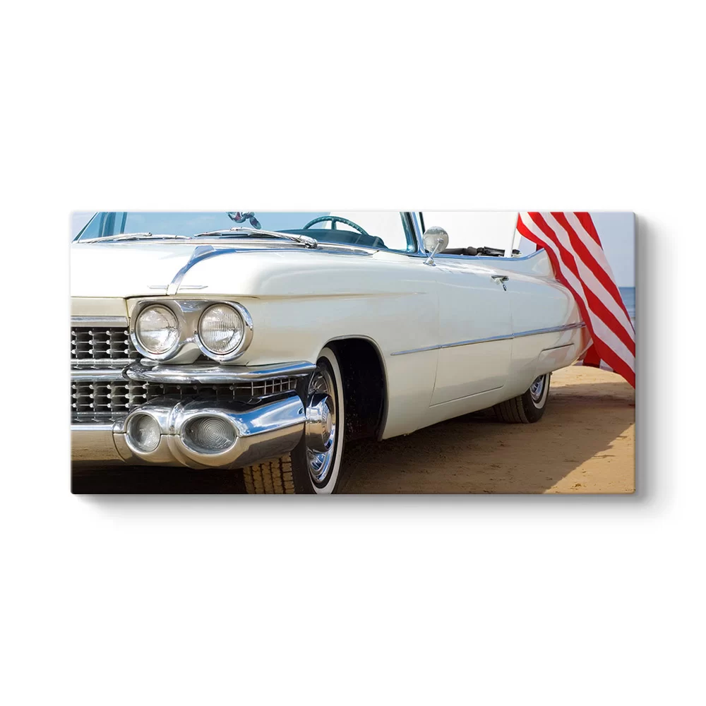 Beyaz Cadillac Tablosu - Model 5